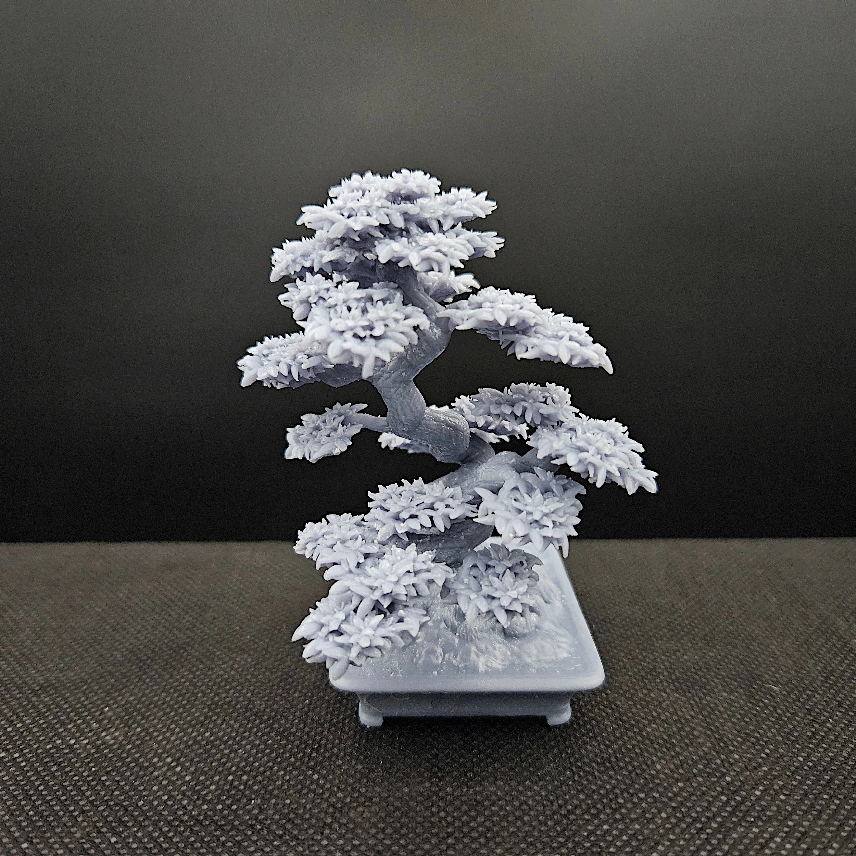 bonsai tree 8. azalia