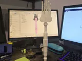 Back scratcher-1