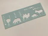 Cards of Animal 2-0