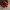 Weihnachtskugel Schlitten