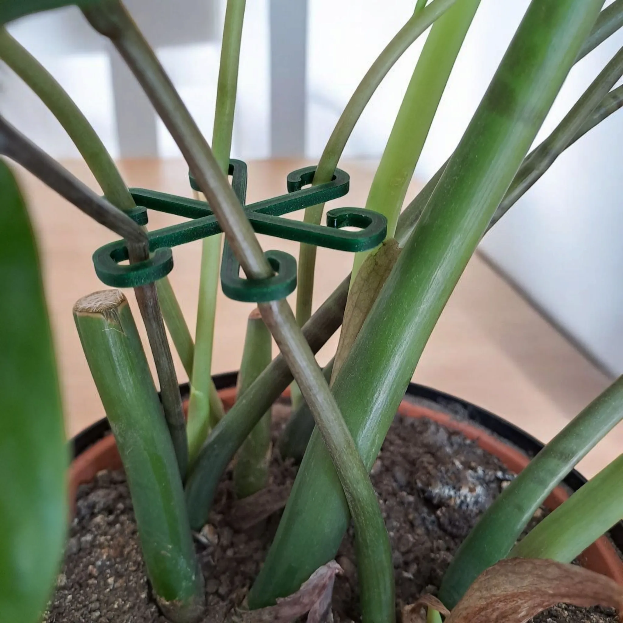 Stable Plant Support Hooks – Quick & Easy to Print