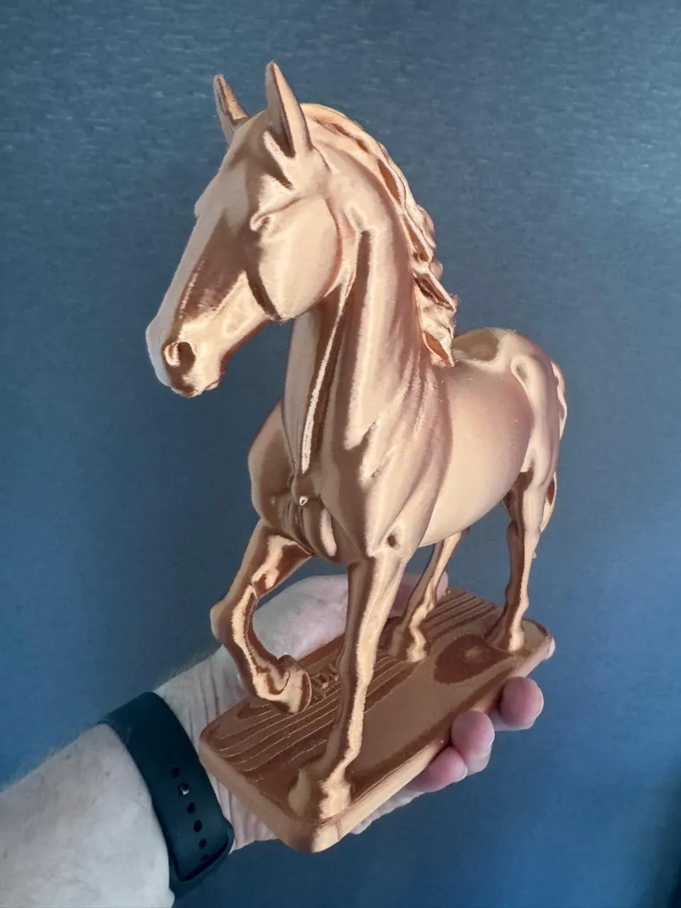 horse-5