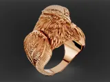 Eagle Ring-0