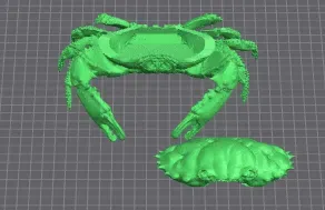 crab case