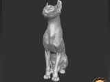 Sphynx cat-7