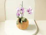Pumpkin Lattice Bowl/Planter/Orchid Pot-2