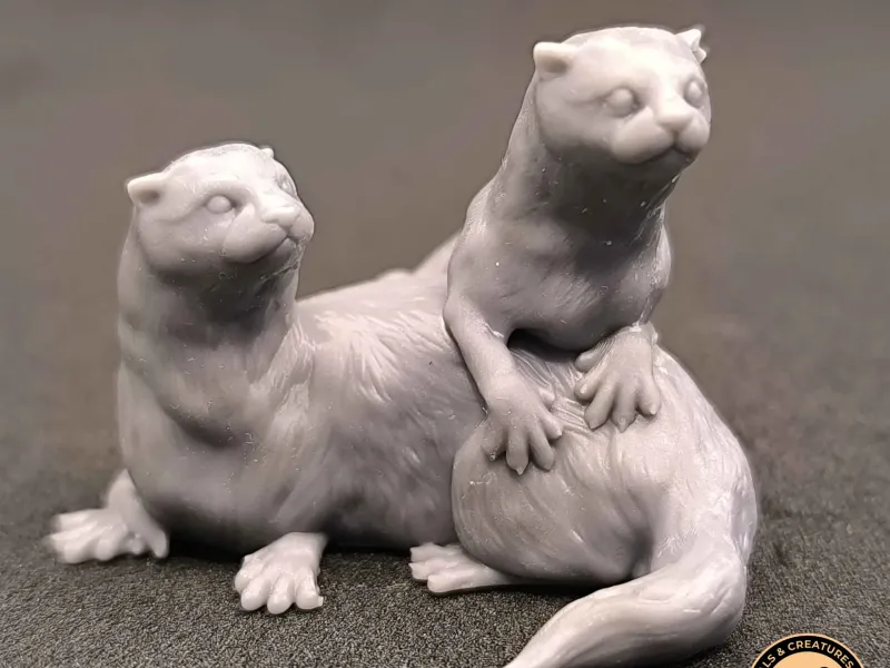 Two otters