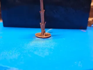 palm tree