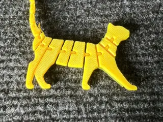Flexi cat