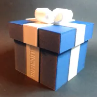 RibbonLock Gift Box-3