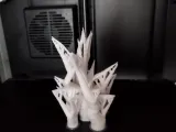 cactus-succulent-0
