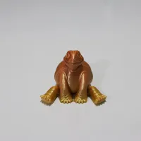 turtle keeps jewelry (not support)-0