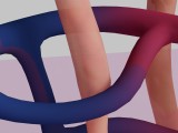 Human Kidney Nephron 3D Model Illustration-8