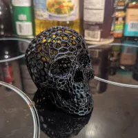 Voronoi-style Skull with no supports-1