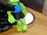 tortuga-3