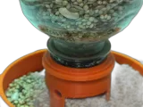 Automatic Bird Waterer and Feeder-1