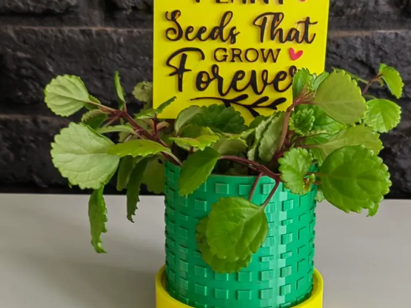 Teachers Plant Seeds –A Tribute to Those Who Inspire