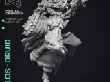 Flos Druid-1