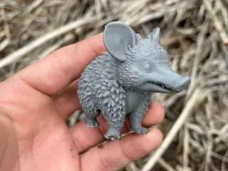 Cute Armadillos