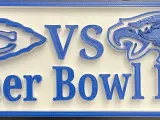 Super Bowl LIX-0