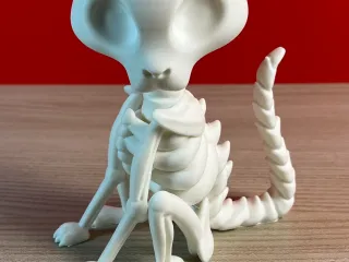 Skeleton Cat 🌟 / Bobblehead
