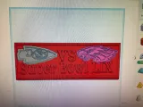 Super Bowl LIX-3