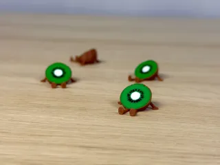 Mini Kiwi Buddy