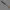 PickWick Butterfly Knife