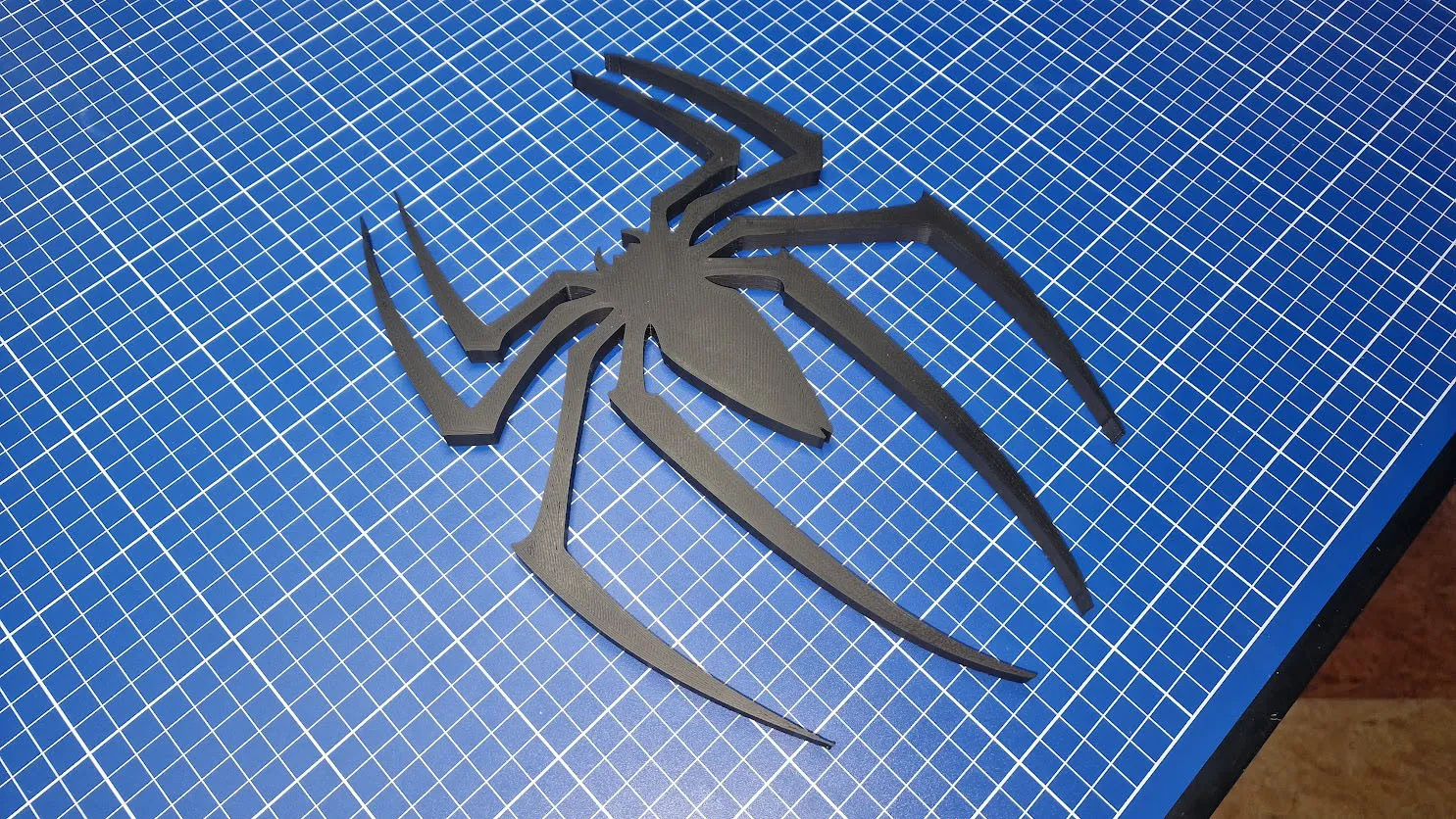 Spider sign 🕷️​