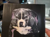 Chiot staff-2