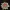 Candlestick lotus