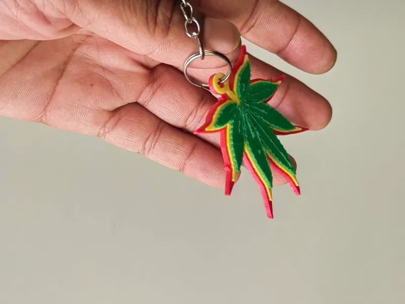 Carry the Reggae Vibes Everywhere! 🌿🔴🟡🟢