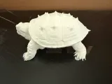 Snapping Turtle-3