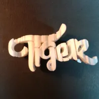 Text Flip - Tiger 2.0-0