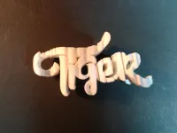 Text Flip - Tiger 2.0-0