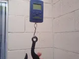 Hook-1
