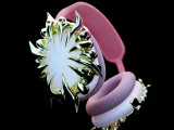 Airpods Max Attachments #RoZ-4