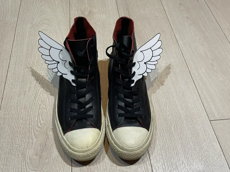 Shoe Wing