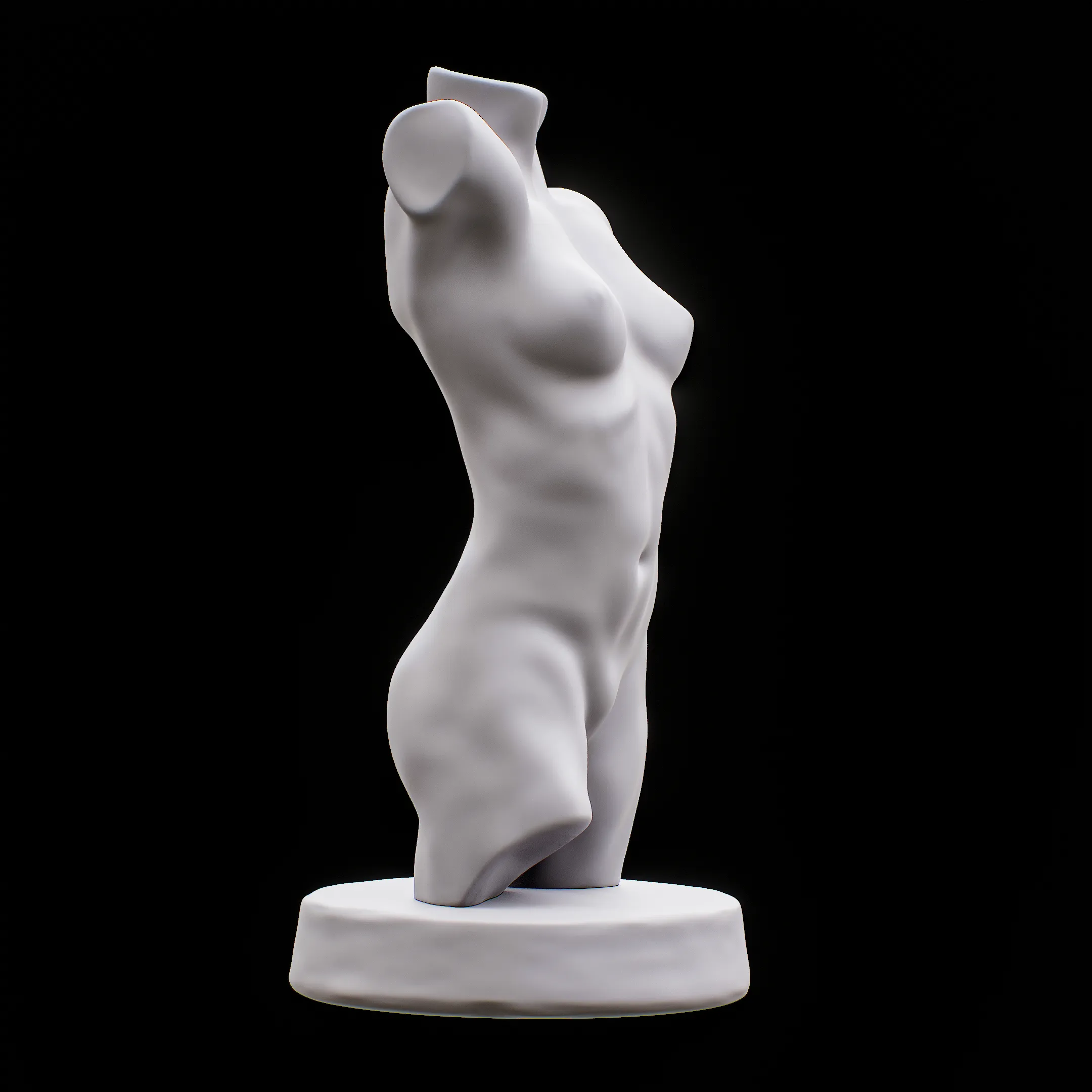 Female Torso for drawing art reference Muscle human Torso