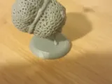 Woven King-boy-4