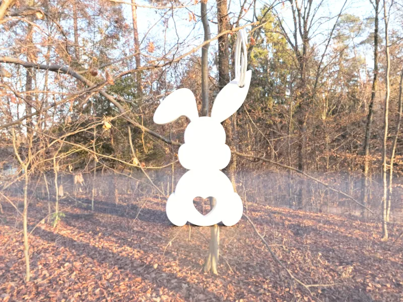 LuckyEar Keycharm 🐰✨