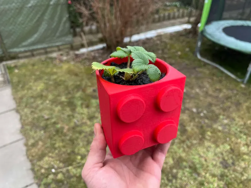Block, Brick, LEGO Flowerpot, Vase