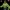DER UNGLAUBLICHE HULK 2008 - 3D-DRUCK