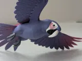 ببغاء محلّق-3