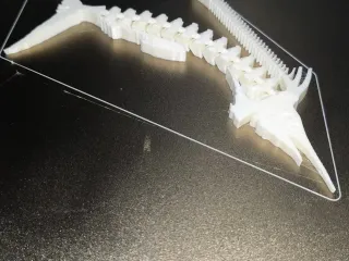 Articulated Marlin