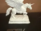 Pegasus 01-4