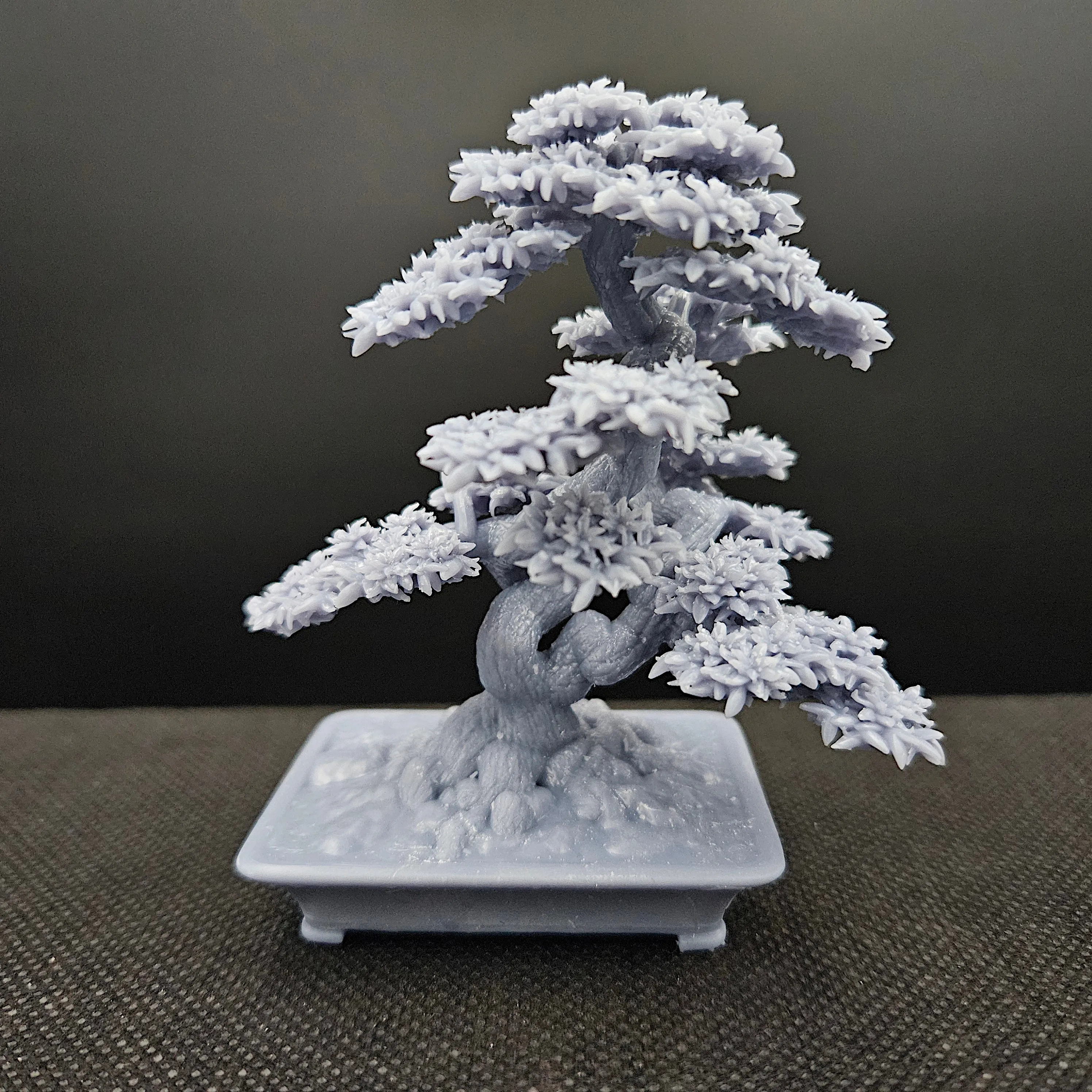 bonsai tree 8. azalia