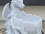 Dragon Succulent Planter-2