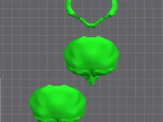 Skull Mask