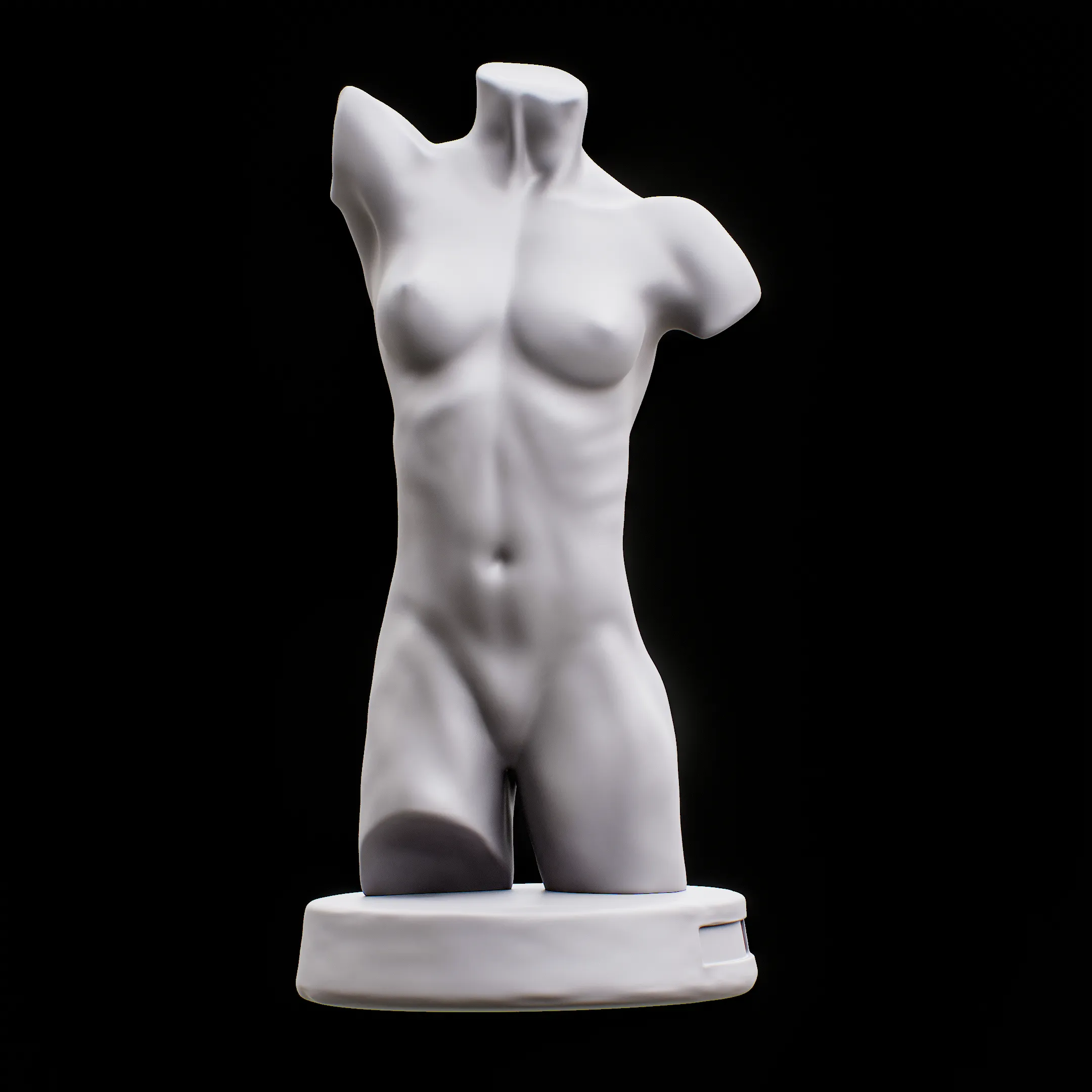 Female Torso for drawing art reference Muscle human Torso